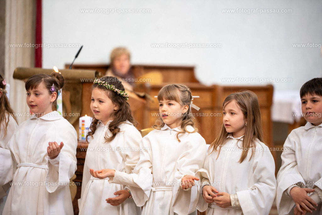 _DSC2676 | Hier finden Sie die Online Foto-Galerie von fotograf-passau.com und marius-handrugan.de. Suchen Sie sich direkt Ihre Lieblingsbilder aus, ob als Ausdruck oder Download. - Realisiert mit Pictrs.com
