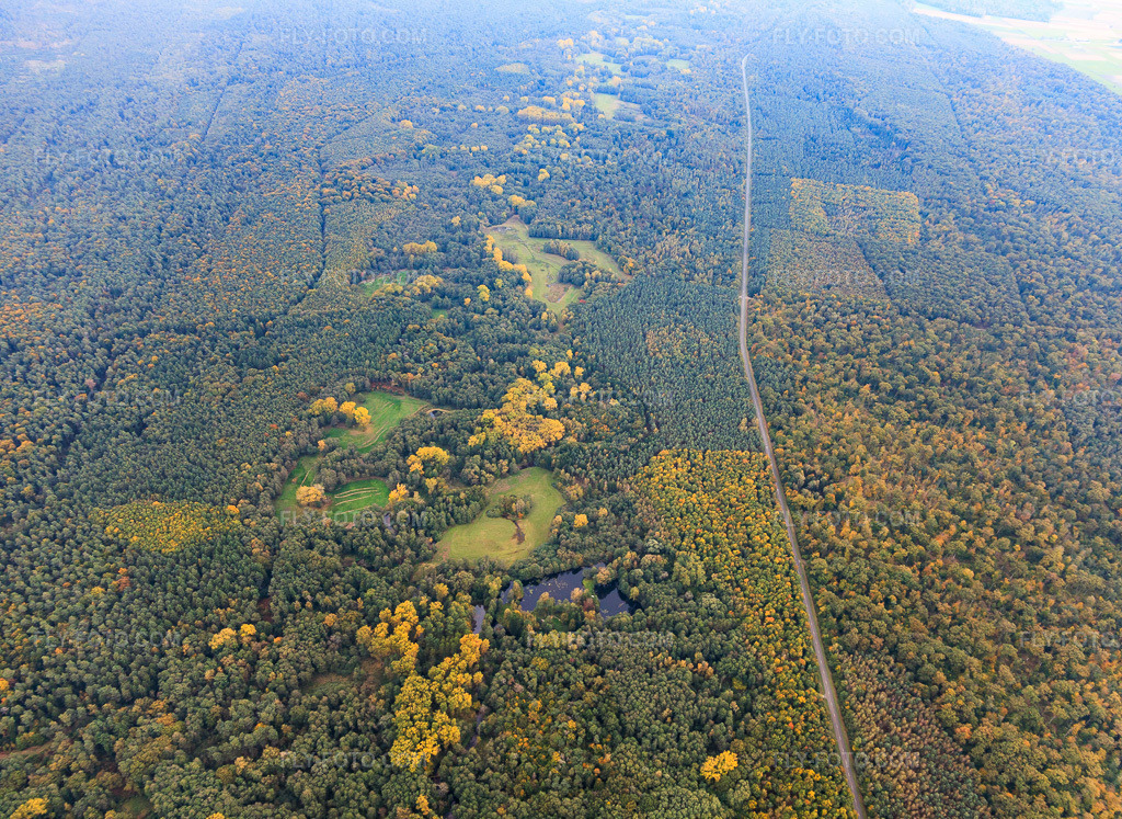 Aerial view: Lautertal in the Bienwald forest on the German-French border in the district Altenstadt in Wissembourg in the state Bas-Rhin, France.Photo: IMG_150114.jpg taken on 10/11/2025 by Werner Riehm/FLY-FOTO.comResolution of the original: 5482 x 4000 px