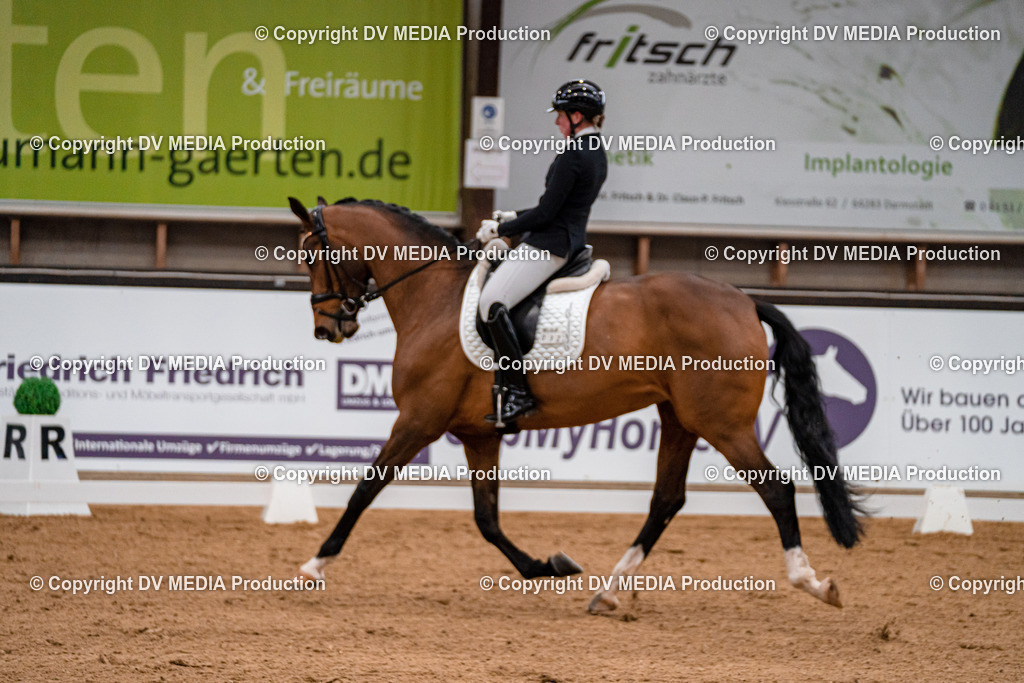 Kranichstein Tag 1-267 | dv-media-shop - Realisiert mit Pictrs.com