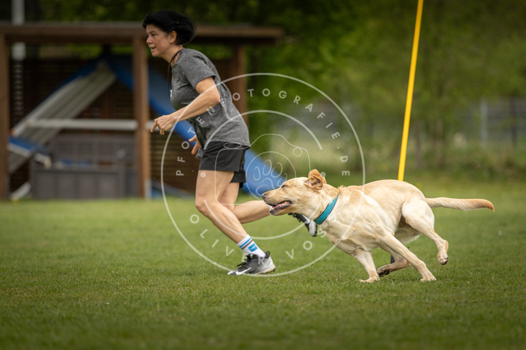 Pfotenfotografie_DV3A7942 | Hundefotografie, Tierfotograf, Pfotenfotografie, Fotoshooting Hund, Hunde Portrait, Hundesport, Hundeportraits, Heideshooting, Hunde, Sportfotograf, Hundefotograf, Turnierhundsport, THS,  - Realisiert mit Pictrs.com