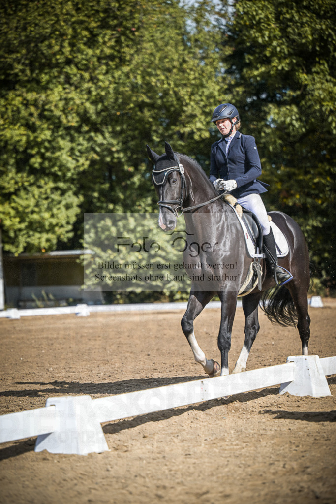 DOS_3842 | Entdecke hochwertige Reitturnierfotos von Foto Oger. Professionell, emotional und authentisch – jetzt Lieblingsmomente im Shop bestellen.Deutschlandweite Turnierfotografie. - Realisiert mit Pictrs.com