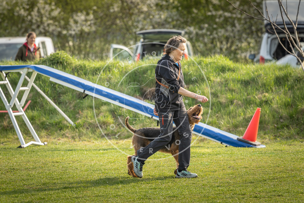 Pfotenfotografie_DV3A4834 | Hundefotografie, Tierfotograf, Pfotenfotografie, Fotoshooting Hund, Hunde Portrait, Hundesport, Hundeportraits, Heideshooting, Hunde, Sportfotograf, Hundefotograf, Turnierhundsport, THS,  - Realisiert mit Pictrs.com