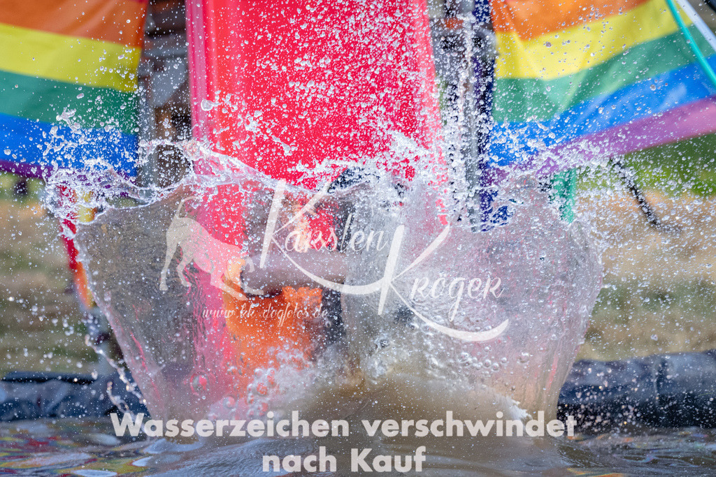 1855_ZZ91992 | kk-dogfotos