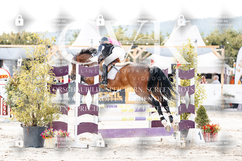 CK906860 | Turnierfotografie Pferdefotografie Trier Rheinland-Pfalz Pferdesport Reitsport Tierfotografie Sportfotografie Pferdevideo Pferdevideografie Equestrianvideography equestrianphotography  - Realisiert mit Pictrs.com