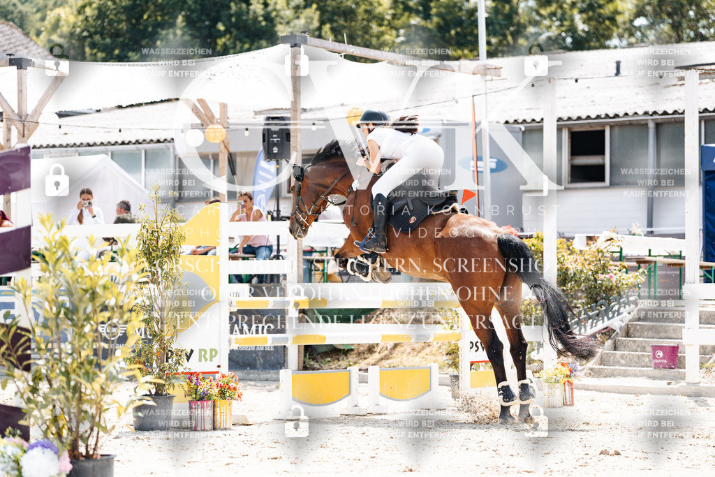 CK907948 | Turnierfotografie Pferdefotografie Trier Rheinland-Pfalz Pferdesport Reitsport Tierfotografie Sportfotografie Pferdevideo Pferdevideografie Equestrianvideography equestrianphotography  - Realisiert mit Pictrs.com
