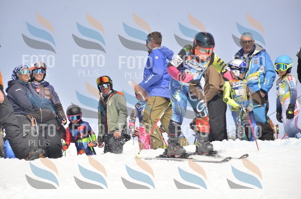 _ELE8847 | holidayphoto