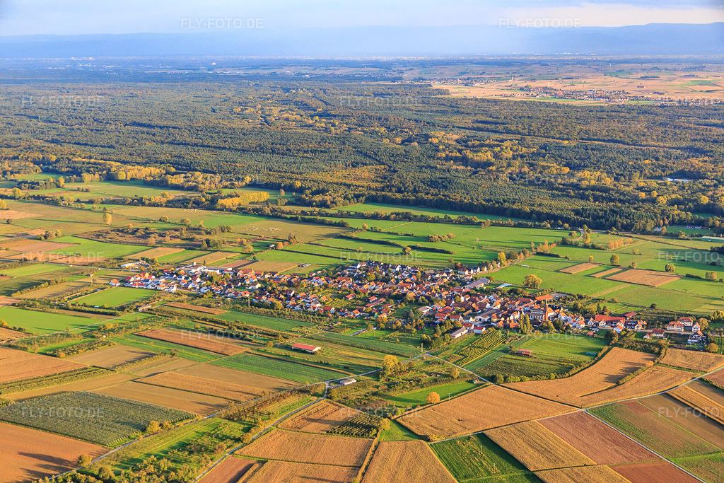 Luftbild: Dorfansicht zwischen herbstlichen Feldern und Wiesen von Norden in Schweighofen im Bundesland Rheinland-Pfalz in Deutschland. Foto: IMG_074674.jpg vom 14.10.2014 durch Werner Riehm/FLY-FOTO.de