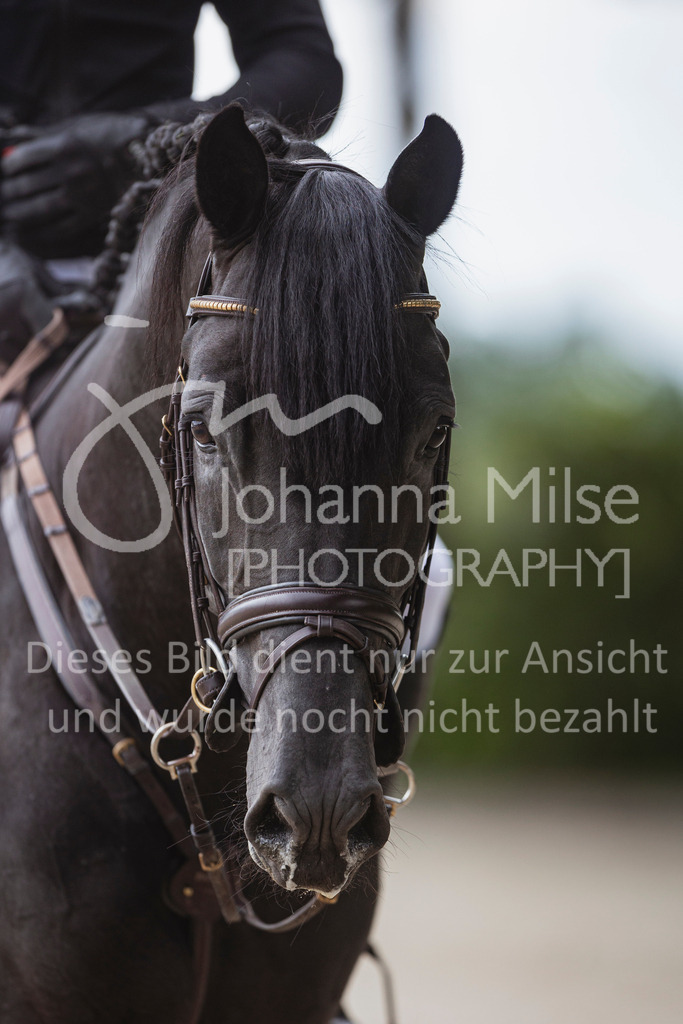 240614_Lemwerder_M2-Springen-417 | Deine schönsten Turniermomente als professionelle Fotos! Entdecke hochwertige Pferdesport-Fotografie im Online-Shop. Jetzt Fotos finden & bestellen!