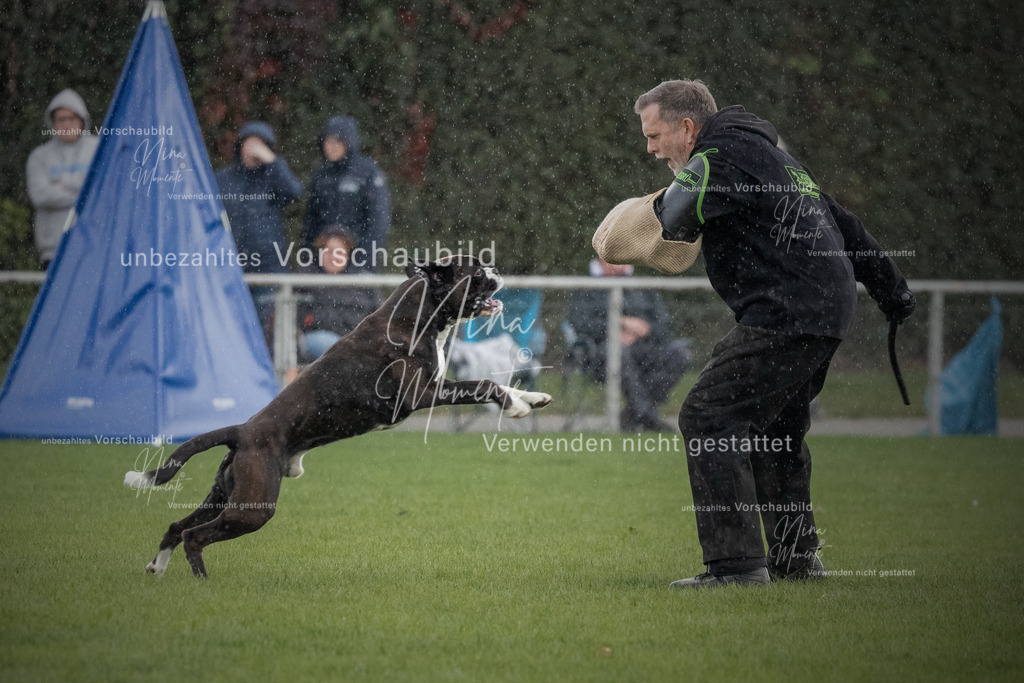 _16A7143-12 | Einzigartige Fotos von Hunden & Menschen –Actionfotos, Portraits, Vereinsaufnahmen & Paarshootings – authentisch, lebendig & mit Herz.