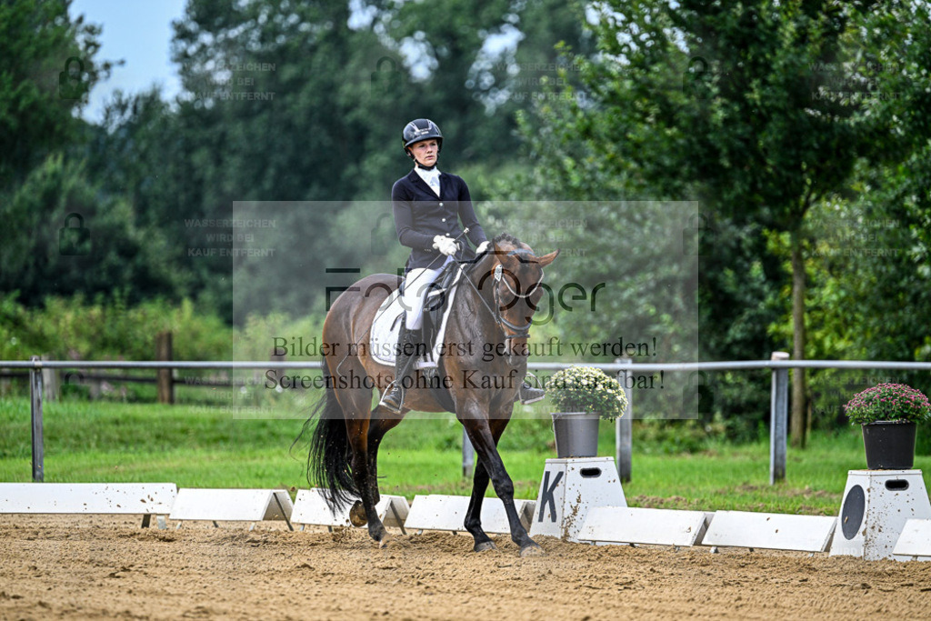 Reitturnier Hasbergen | Entdecke hochwertige Reitturnierfotos von Foto Oger. Professionell, emotional und authentisch – jetzt Lieblingsmomente im Shop bestellen. - Realisiert mit Pictrs.com