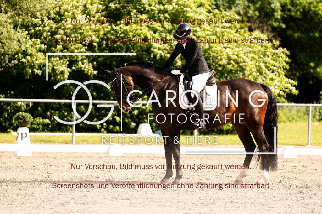 DSC02154 | Turnierfotografin Carolin Gieschke, Turnierfotografie Carolin G Fotografie, Turnierfotos Kirchheim/Teck, Esslingen, Stuttgart, Bodenseekreis