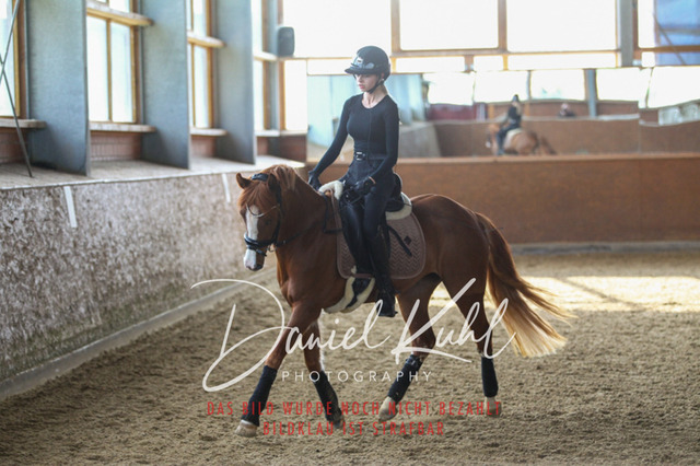 DKP42600 | Turniersportfotografie; Pferdefotografie; Dressurfotografie
