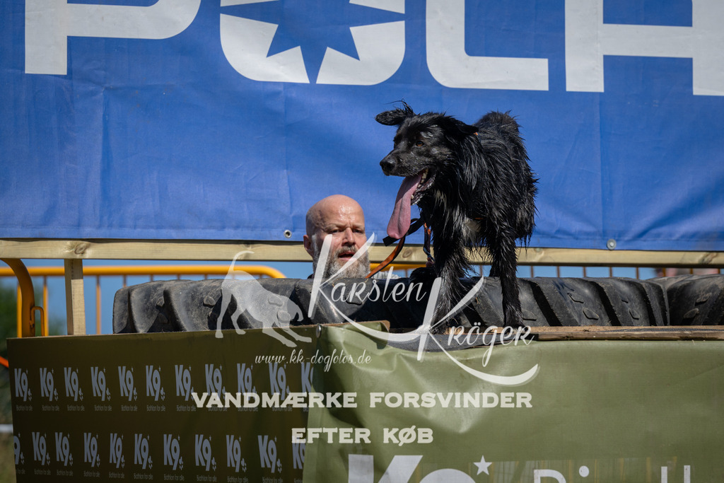 1255_ZZ97417 | kk-dogfotos