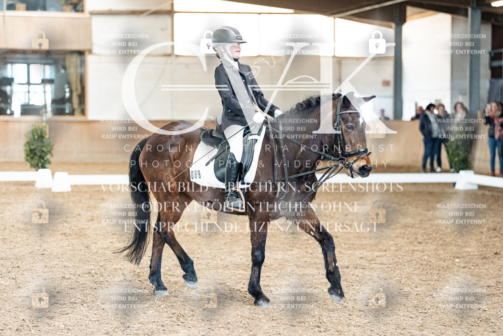 CK900632 | Turnierfotografie Pferdefotografie Trier Rheinland-Pfalz Pferdesport Reitsport Tierfotografie Sportfotografie Pferdevideo Pferdevideografie Equestrianvideography equestrianphotography  - Realisiert mit Pictrs.com