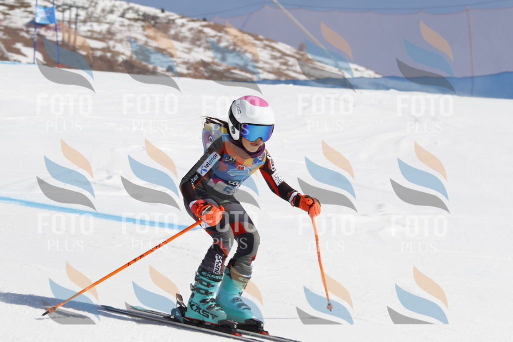 _U3G9551 | holidayphoto