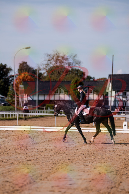 2026_10_03_Siefer-Hof_115444_Z81_94501592 | Professionelle Reitsport-, Turnier- und Eventfotografie von Robert Broda. Galerien mit ausgewählten und bearbeiteten Bildern direkt online ansehen und bestellen.