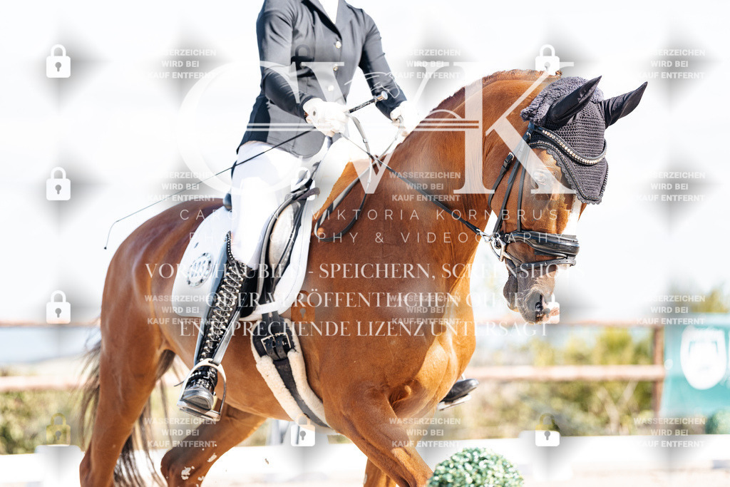 CK902207 | Turnierfotografie Pferdefotografie Trier Rheinland-Pfalz Pferdesport Reitsport Tierfotografie Sportfotografie Pferdevideo Pferdevideografie Equestrianvideography equestrianphotography  - Realisiert mit Pictrs.com