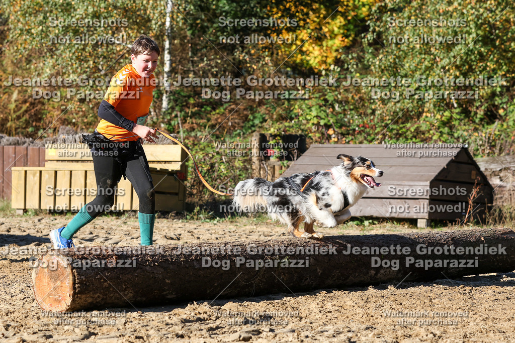 Dog Paparazzi - Strongdog 10-25-2042 | Dog Paparazzi Jeanette Grottendiek Fotografie & Videografie - Realisiert mit Pictrs.com