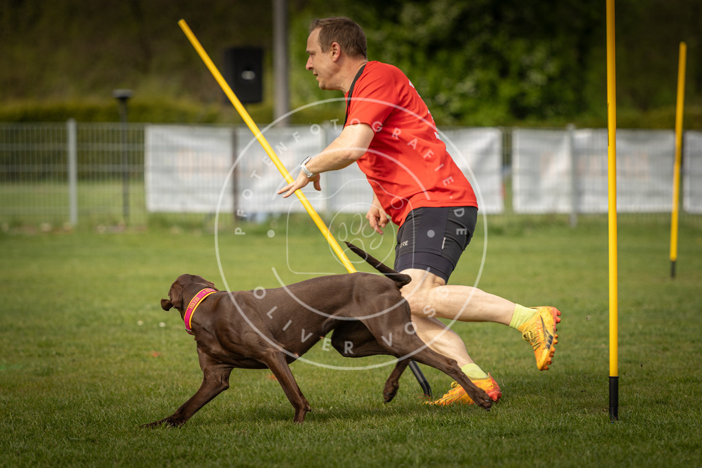 Pfotenfotografie_DV3A5302 | Hundefotografie, Tierfotograf, Pfotenfotografie, Fotoshooting Hund, Hunde Portrait, Hundesport, Hundeportraits, Heideshooting, Hunde, Sportfotograf, Hundefotograf, Turnierhundsport, THS,  - Realisiert mit Pictrs.com