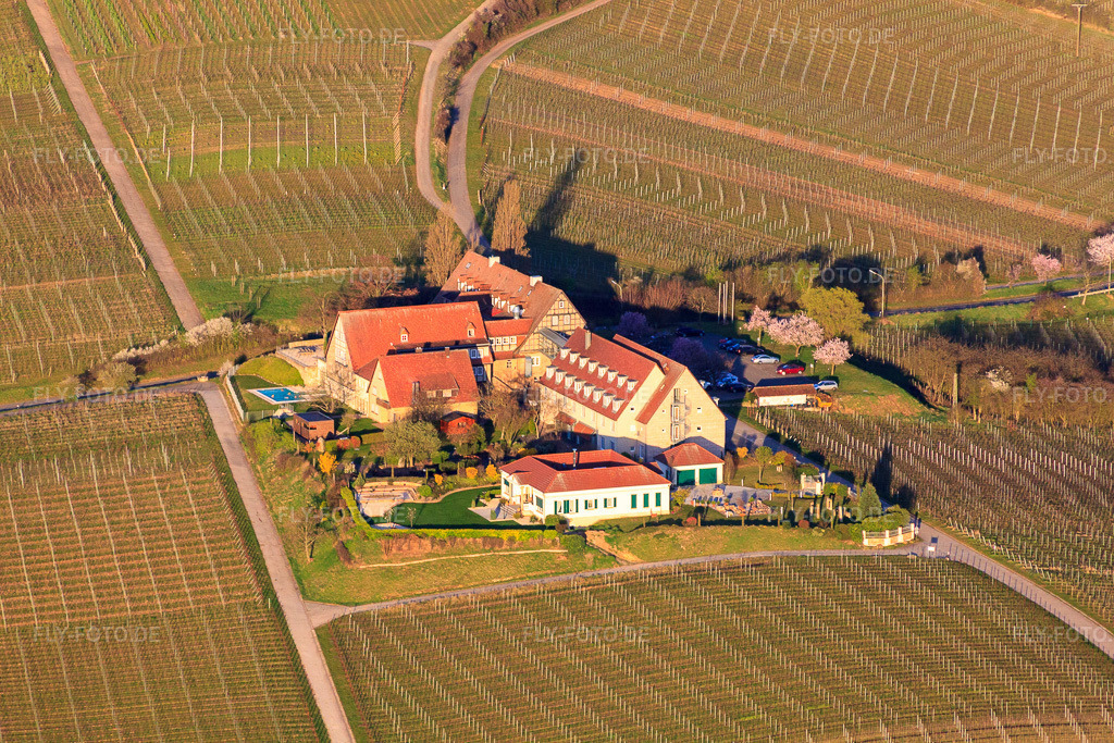 Luftbild: Hotel Leinsweiler Hof am Morgen aus Südosten in Leinsweiler im Bundesland Rheinland-Pfalz in Deutschland. Foto: IMG_63118.jpg vom 20.03.2014 durch Werner Riehm/FLY-FOTO.deUnvergessliche Momente im Urlaub - Leinsweiler Hof