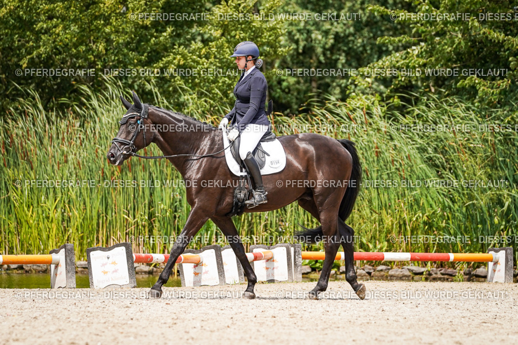 DSC03587 | Pferdegrafie