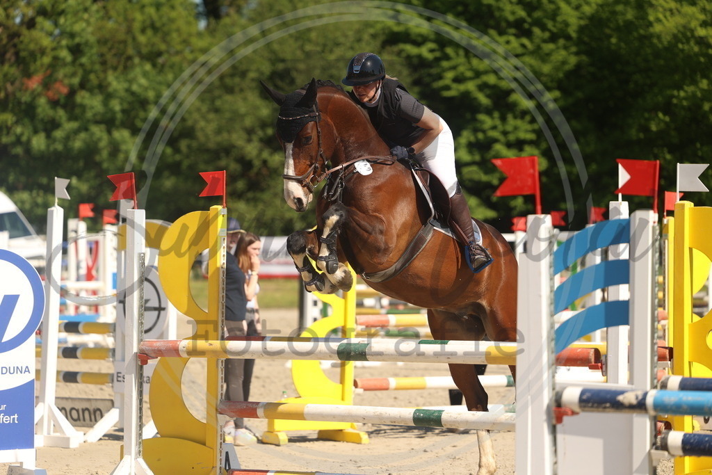 994A6053 | sabrinanicolaifotografie - Realisiert mit Pictrs.com