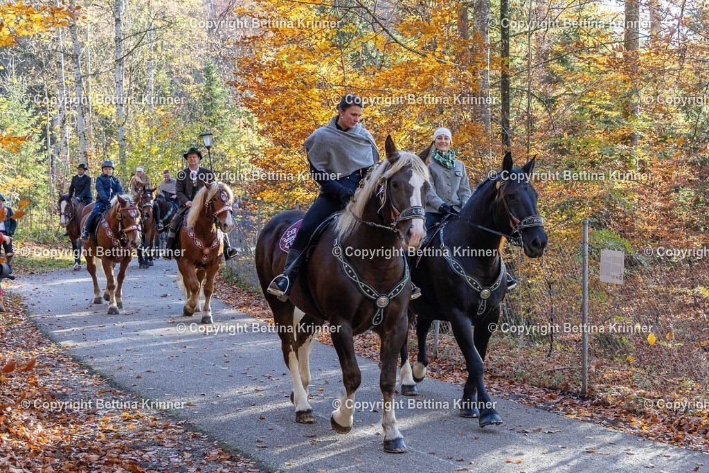 LL24-341 | foto-bettina-krinner - Realisiert mit Pictrs.com