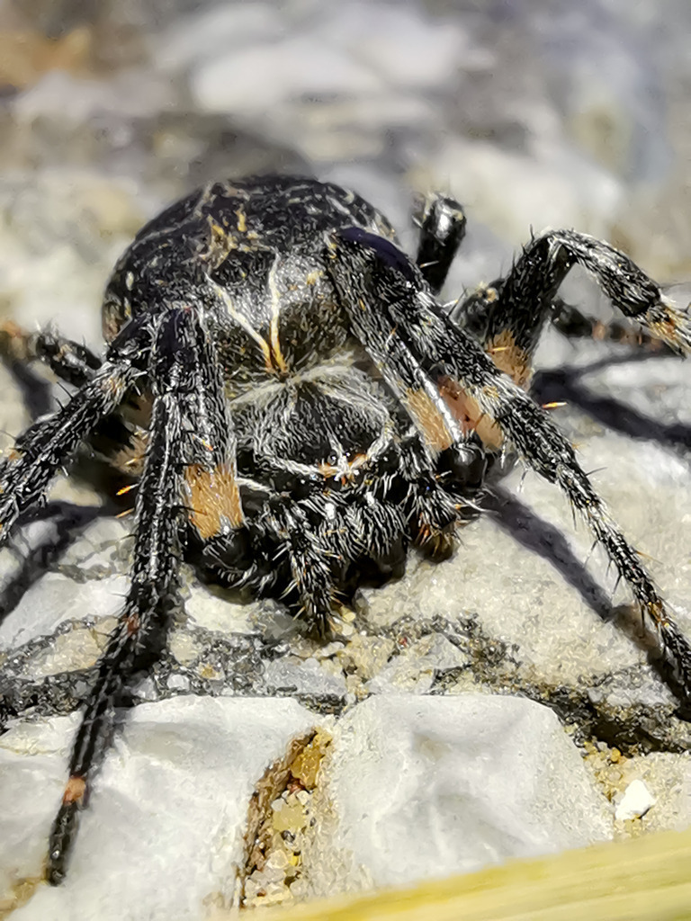 PSX_20230527_225507 | mtkfoto_ - Realisiert mit Pictrs.com