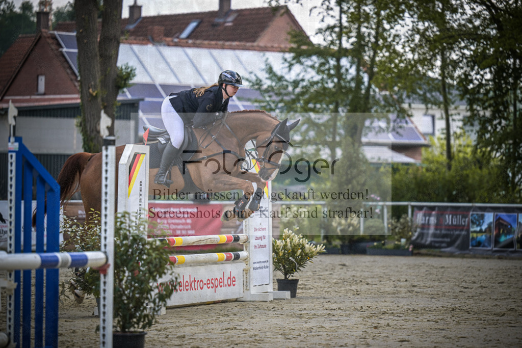 DOS_4385 | Entdecke hochwertige Reitturnierfotos von Foto Oger. Professionell, emotional und authentisch – jetzt Lieblingsmomente im Shop bestellen.Deutschlandweite Turnierfotografie. - Realized with Pictrs.com