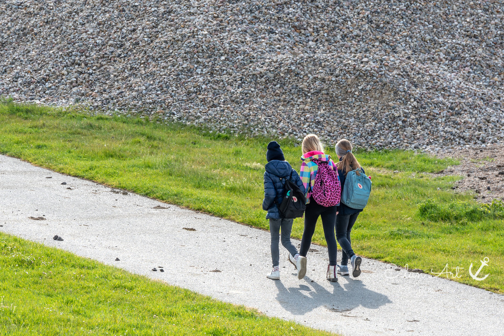 EAF_1033 | Eilun-Art-Fotografie Levke Martens, ihre Fotografin für Immobilien- und Landschaftsfotografie auf Föhr, Föhrer Motive als Poster, Leinwand, hinter Acrylglas oder stelle dir deinen eigenen Monatskalender zusammen, mit nur einem Klick