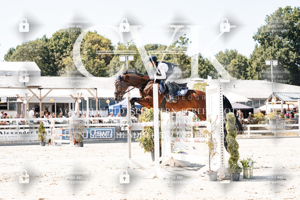 CK909911 | Turnierfotografie Pferdefotografie Trier Rheinland-Pfalz Pferdesport Reitsport Tierfotografie Sportfotografie Pferdevideo Pferdevideografie Equestrianvideography equestrianphotography  - Realisiert mit Pictrs.com
