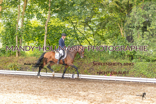 RPF 4 Filsum (244 von 535) | mandyhollmannphotographie