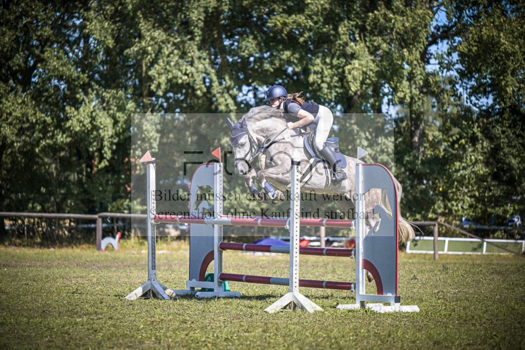 DOS_0680 | Entdecke hochwertige Reitturnierfotos von Foto Oger. Professionell, emotional und authentisch – jetzt Lieblingsmomente im Shop bestellen.Deutschlandweite Turnierfotografie. - Realisiert mit Pictrs.com