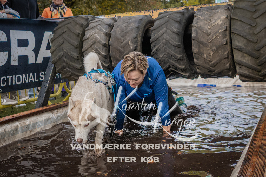 1449_ZZ90351 | kk-dogfotos