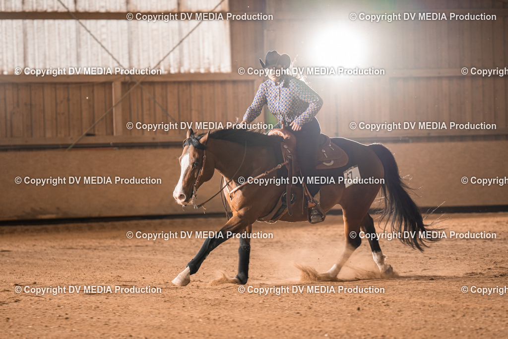 BA301136 | dv-media-shop - Realisiert mit Pictrs.com