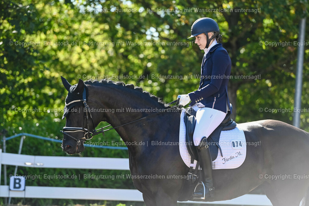 20230715_06_Dressurpferdeprfg. Kl.A_0265 | equistock