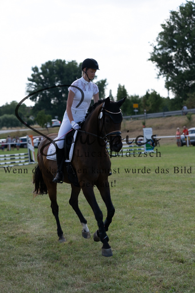 A7V00530 | Pferdefotograf