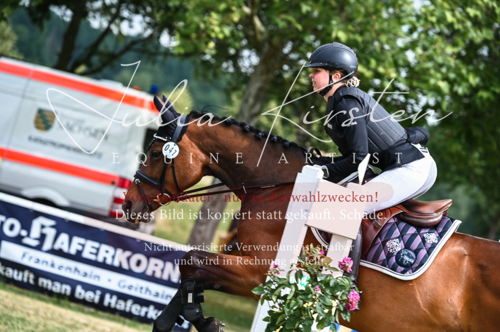 DSC_8423 | Pferde- und Turnierfotografie in Westsachsen. Pferdeportraits, Auftragszeichnungen und intuitive Kunst.