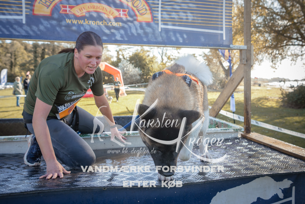 1212_ZZ95066 | kk-dogfotos