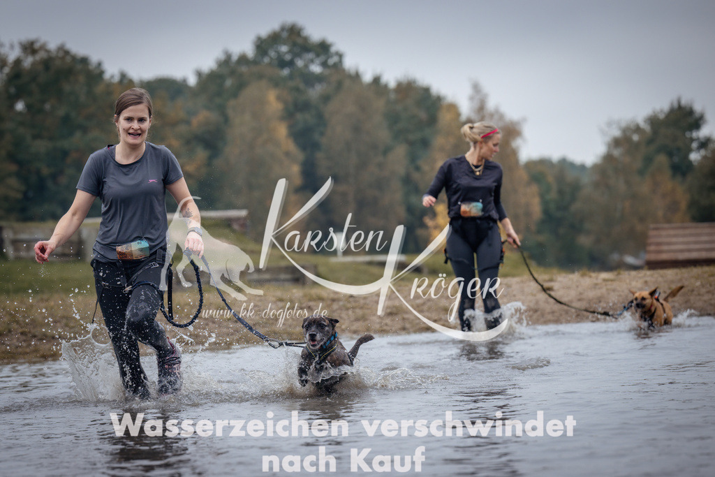 1207_ZZ98229 | kk-dogfotos