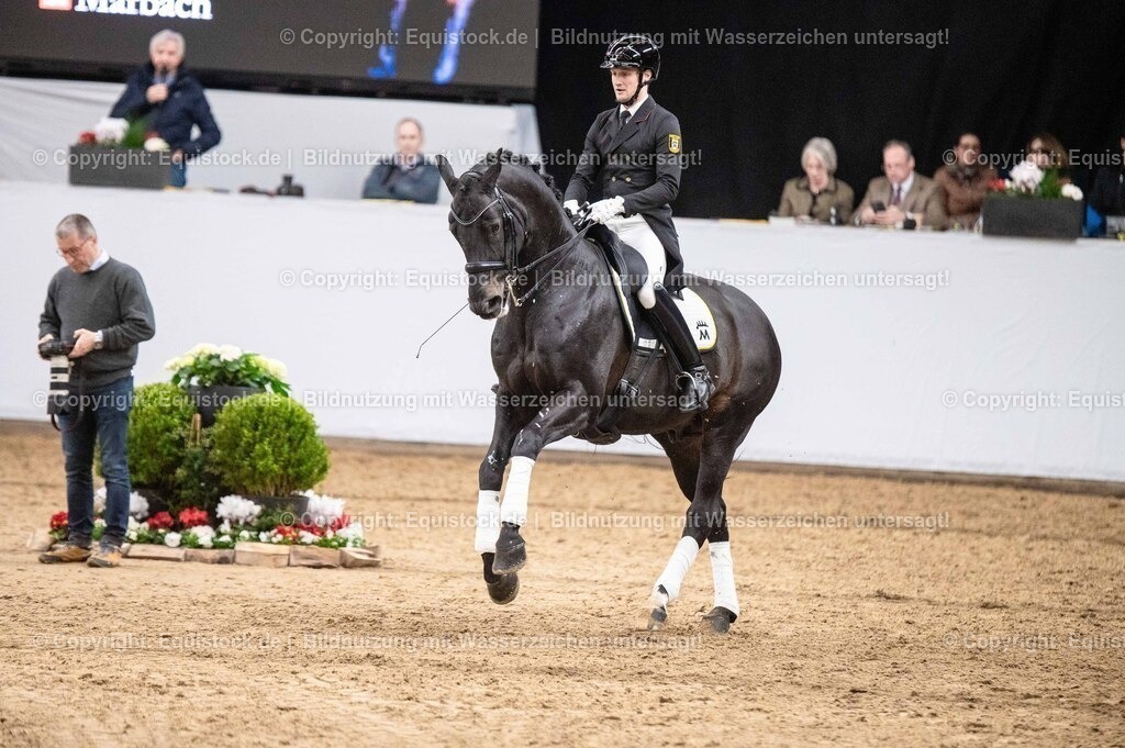 20260307_Hengstvorstellung-Marbach_0489 | equistock