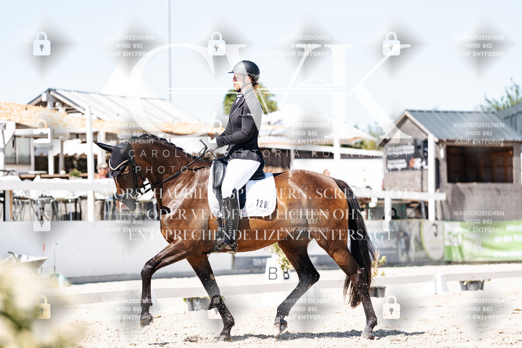 CK909761 | Turnierfotografie Pferdefotografie Trier Rheinland-Pfalz Pferdesport Reitsport Tierfotografie Sportfotografie Pferdevideo Pferdevideografie Equestrianvideography equestrianphotography  - Realisiert mit Pictrs.com