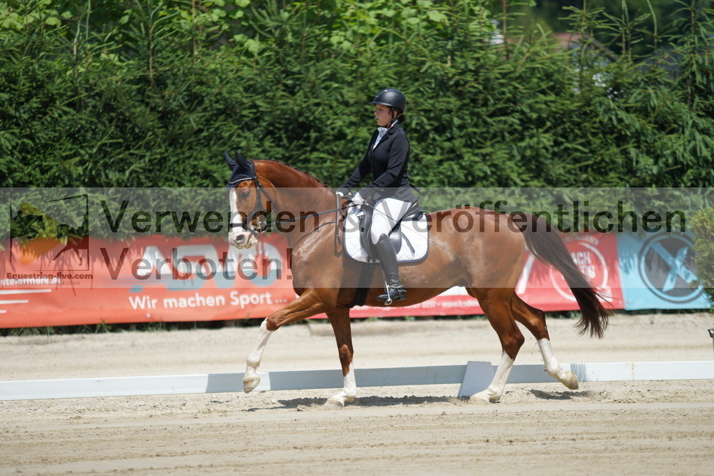 DSC04763 | equestrian-live-com