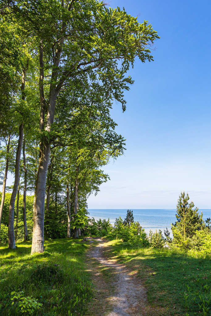 Wanderweg an der Steilküste bei Bansin auf der Insel Usedom | Wanderweg an der Steilküste bei Bansin auf der Insel Usedom.