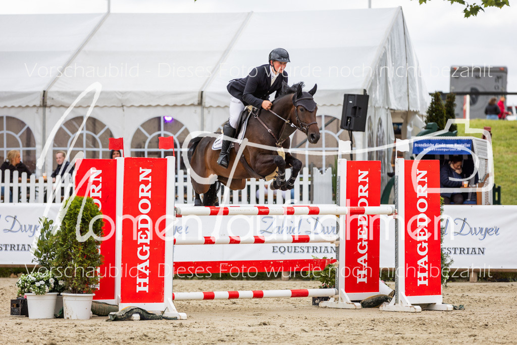 BHO-2PhSpr-M-5-2401 | MomenTaufnahmen Pferdesportfotos