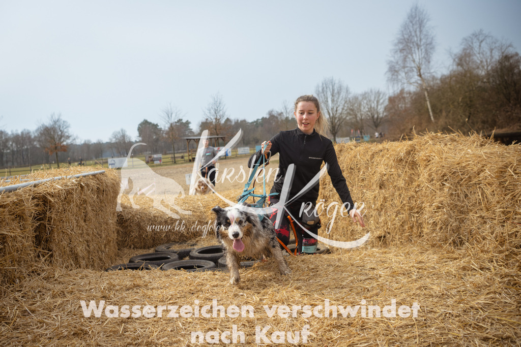 1128_ZZ93822 | kk-dogfotos