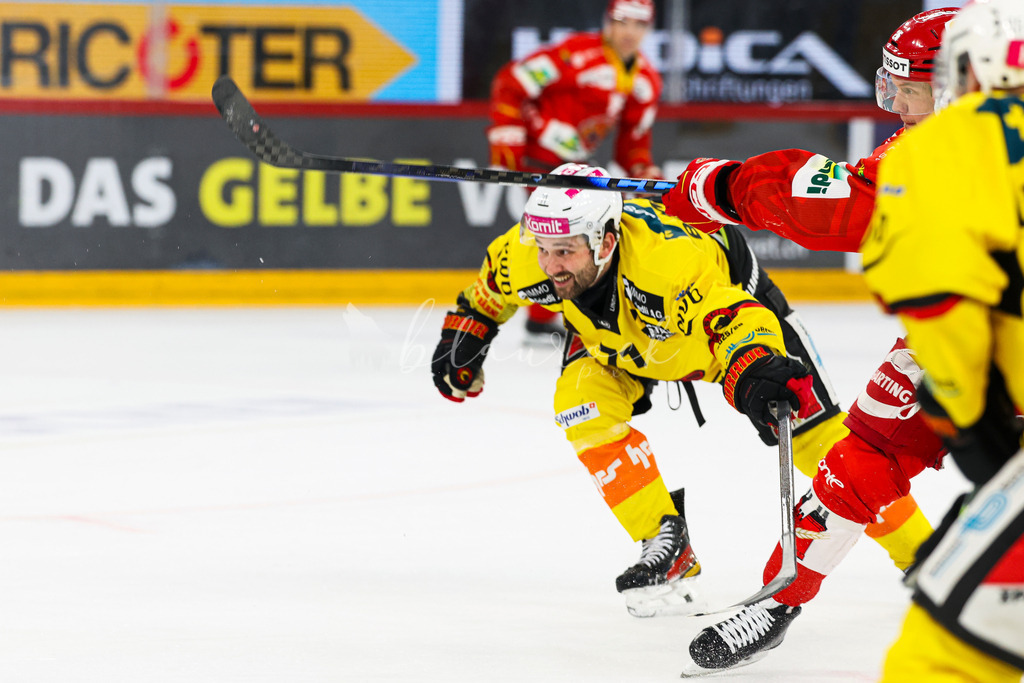 EHCB vs SCB 20260312_wb-4388 | Sportbilder, Sportfotograf, Hochzeits- und Eventfotografin, Flugshows, Portraits und Tiershooting, Aviation, Downhill, Nationalleague, Swissleague, International