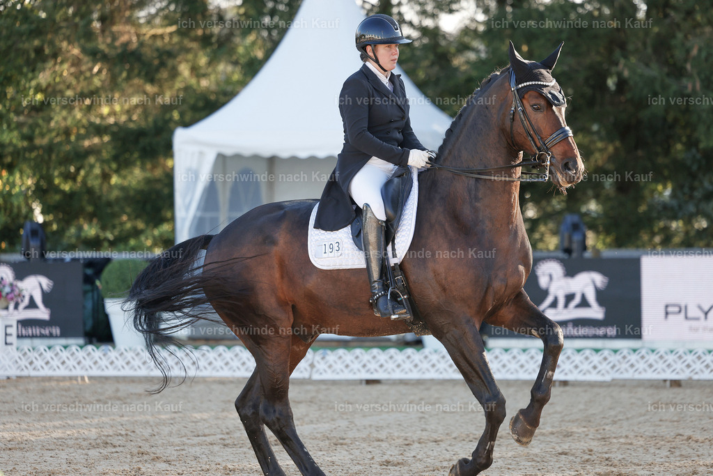 09_1-193-DRESSUR  S_  -StoibPH-5489 | working equitationturnier fotograf videograf stoibphotography marixx film working equitation deutschland reitsport turnierfotografie eventfotografie equestrian events