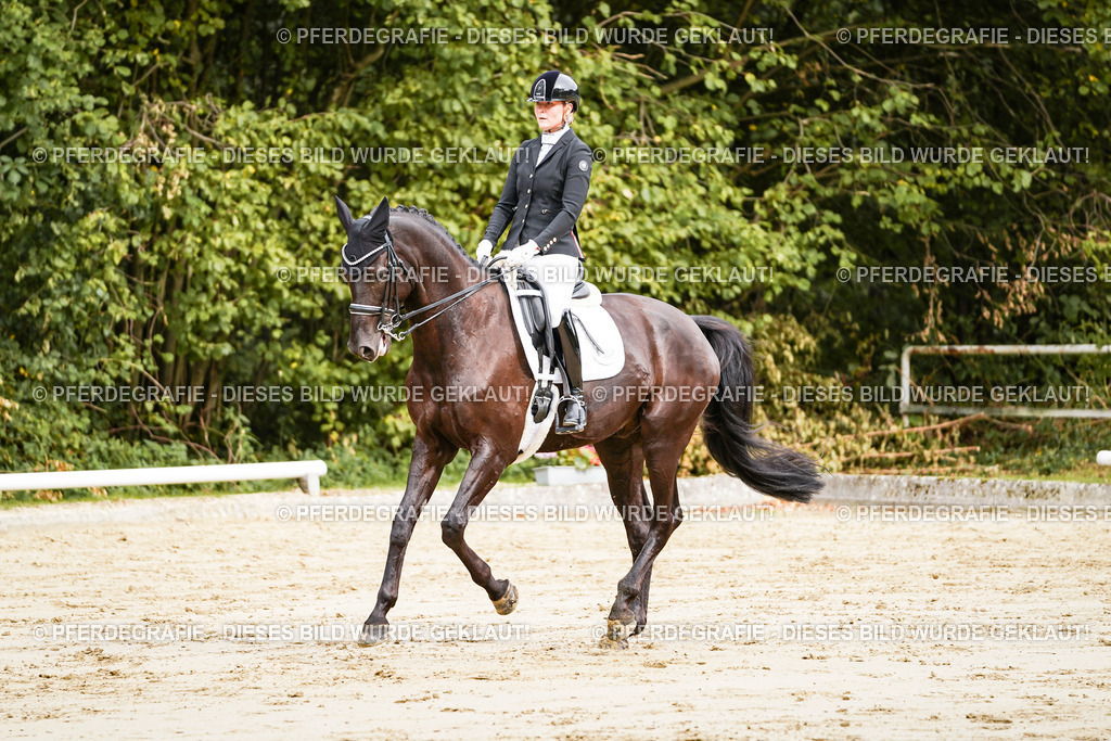 DSC02389 | Pferdegrafie