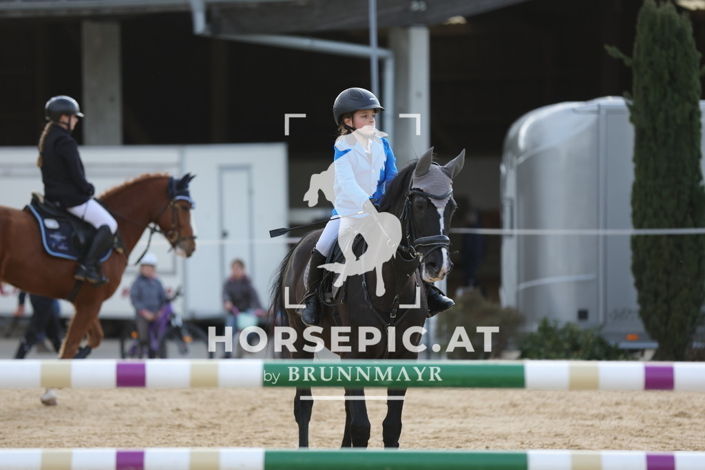 0P6A8802 | Willkommen bei Brunnmayr - Design & Fotografie – Ihrem Spezialisten für Reitturniere und Pferdeveranstaltungen in Oberösterreich, Salzburg und Bayern! Seit über 17 Jahren sind wir leidenschaftlich dabei.